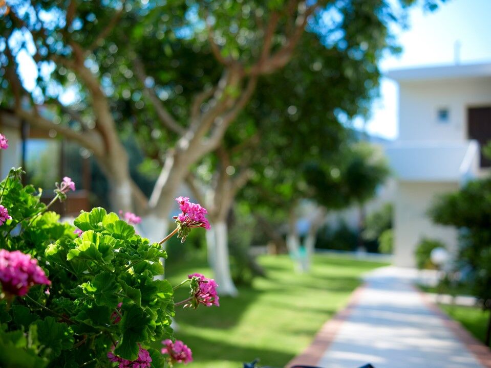 Eurohotel Katrin & (adults Only) 4* Iraklion